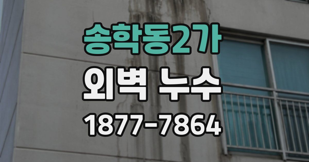 송학동2가 외벽 누수