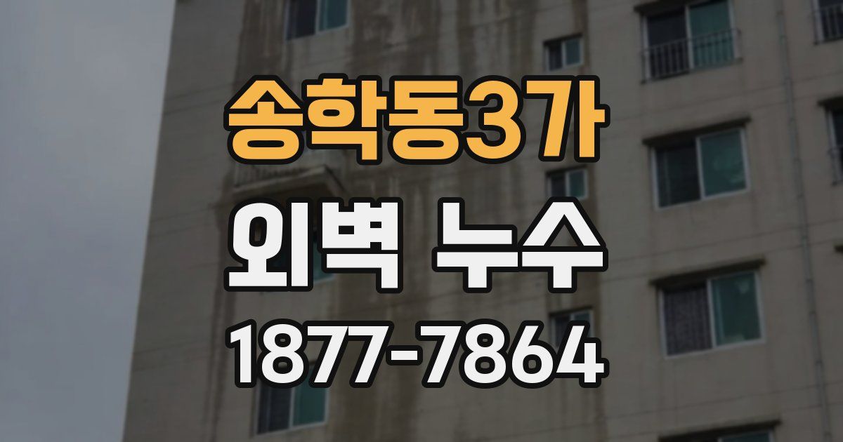송학동3가 외벽 누수
