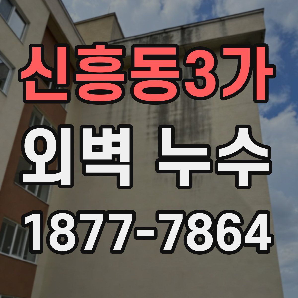 신흥동3가 외벽 누수