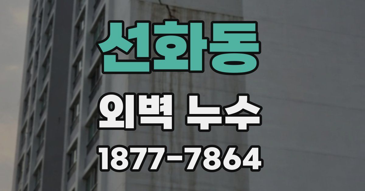 선화동 외벽 누수