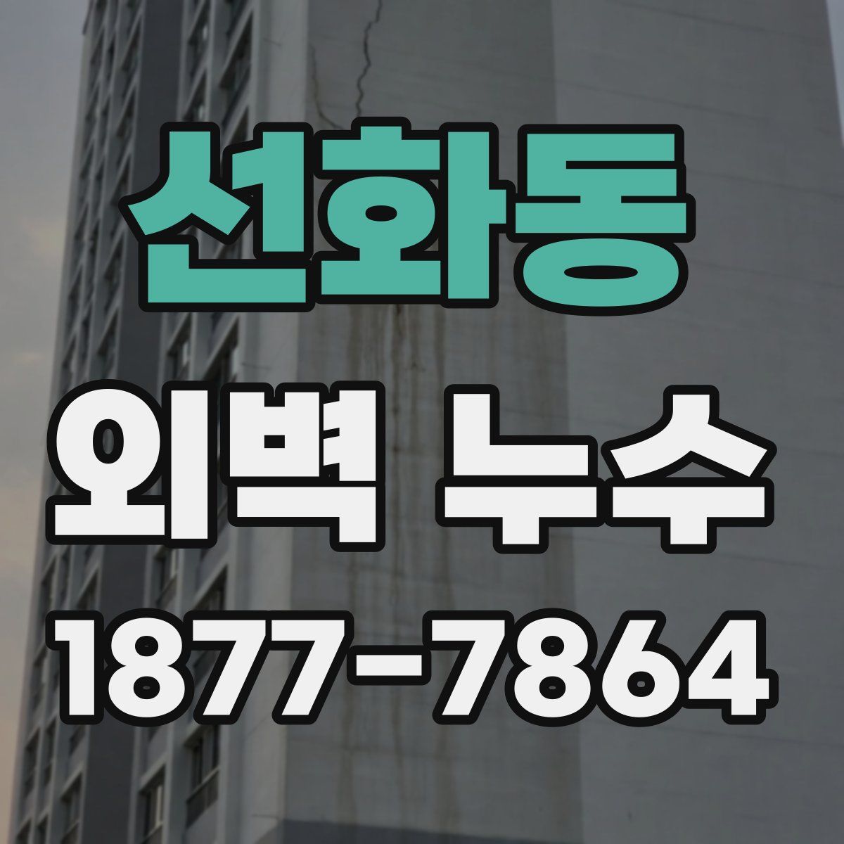 선화동 외벽 누수