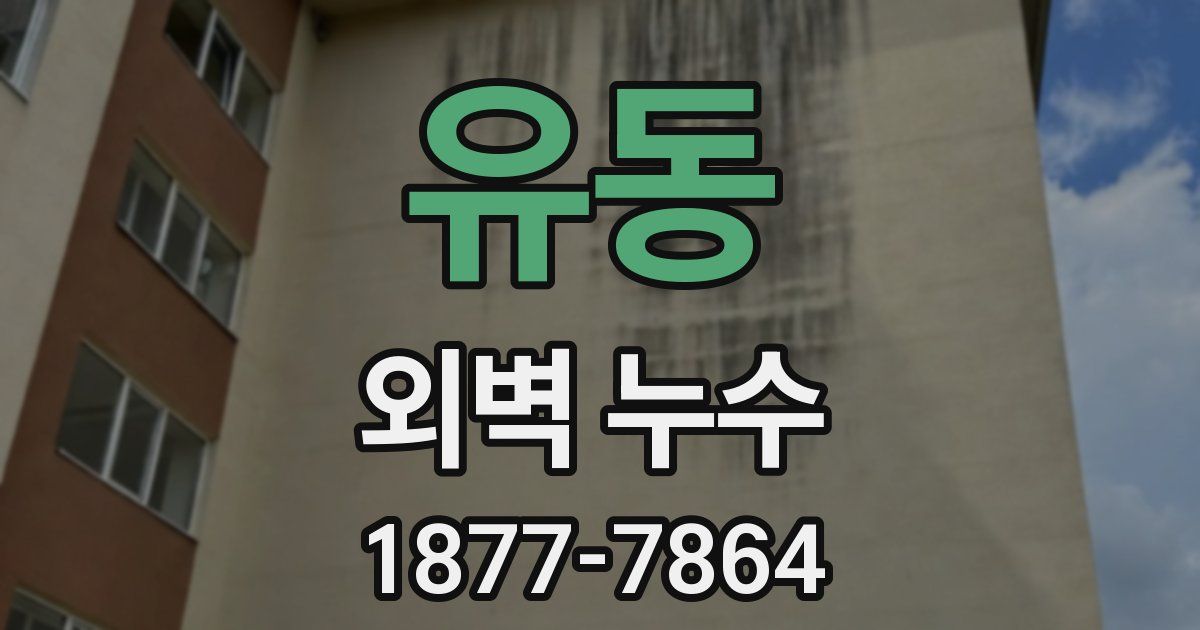 유동 외벽 누수