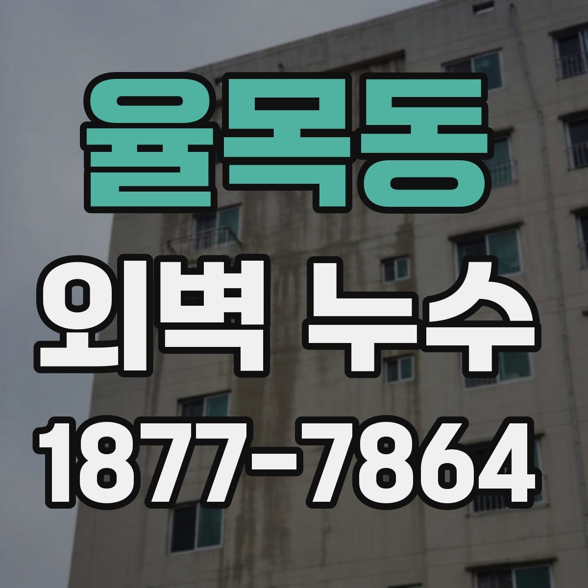 율목동 외벽 누수