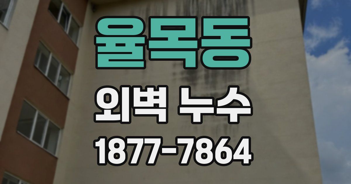 율목동 외벽 누수