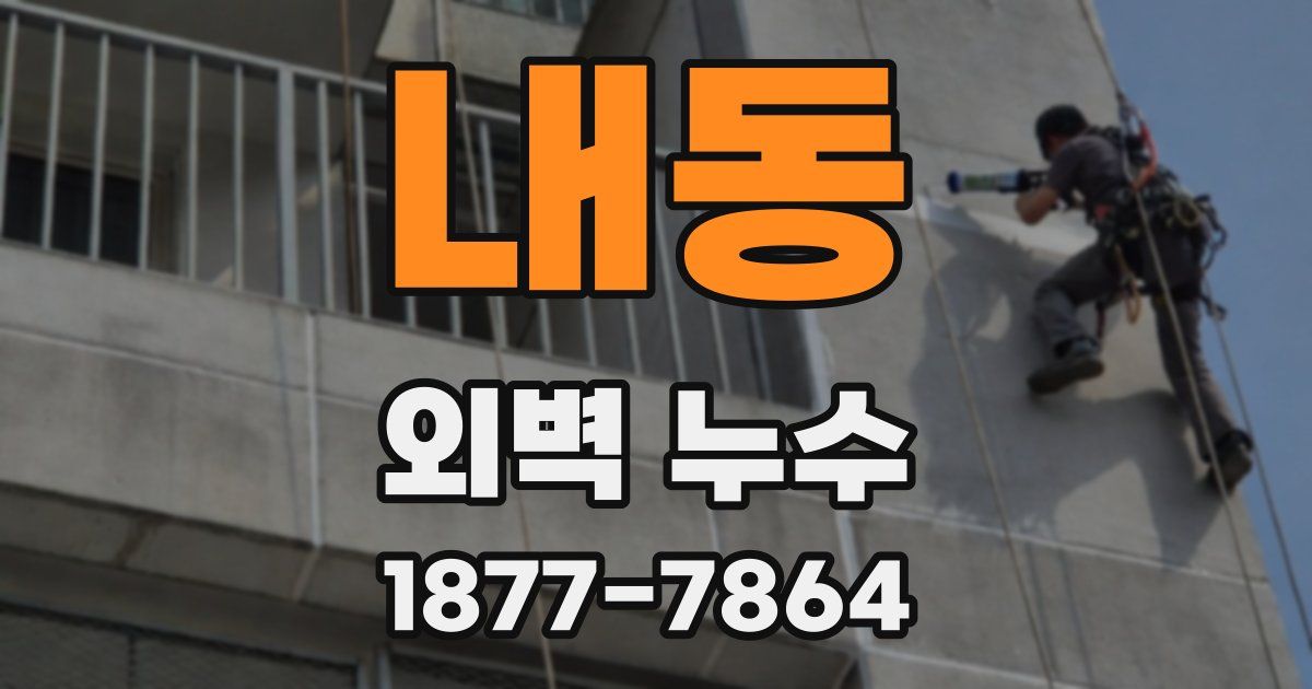내동 외벽 누수