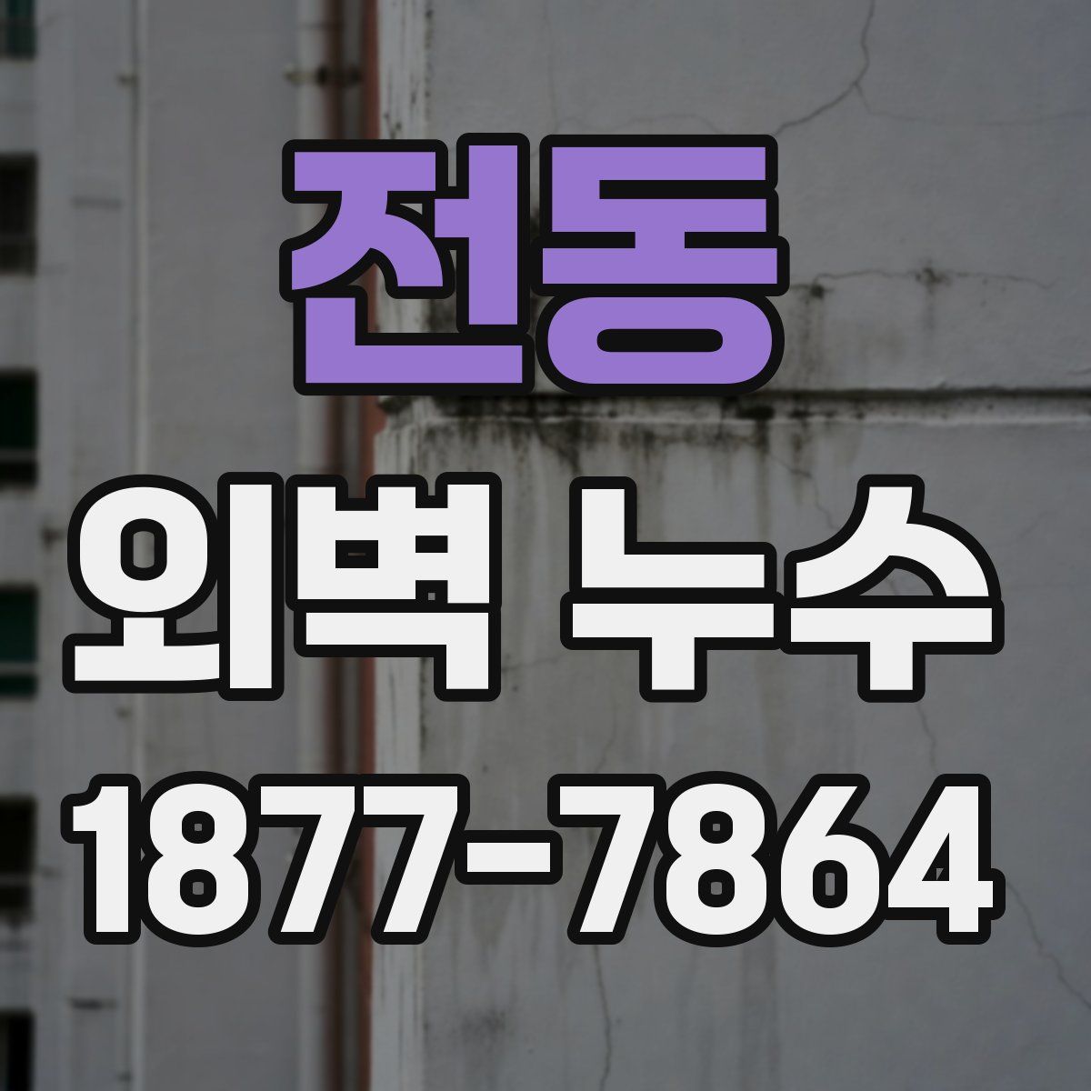 전동 외벽 누수