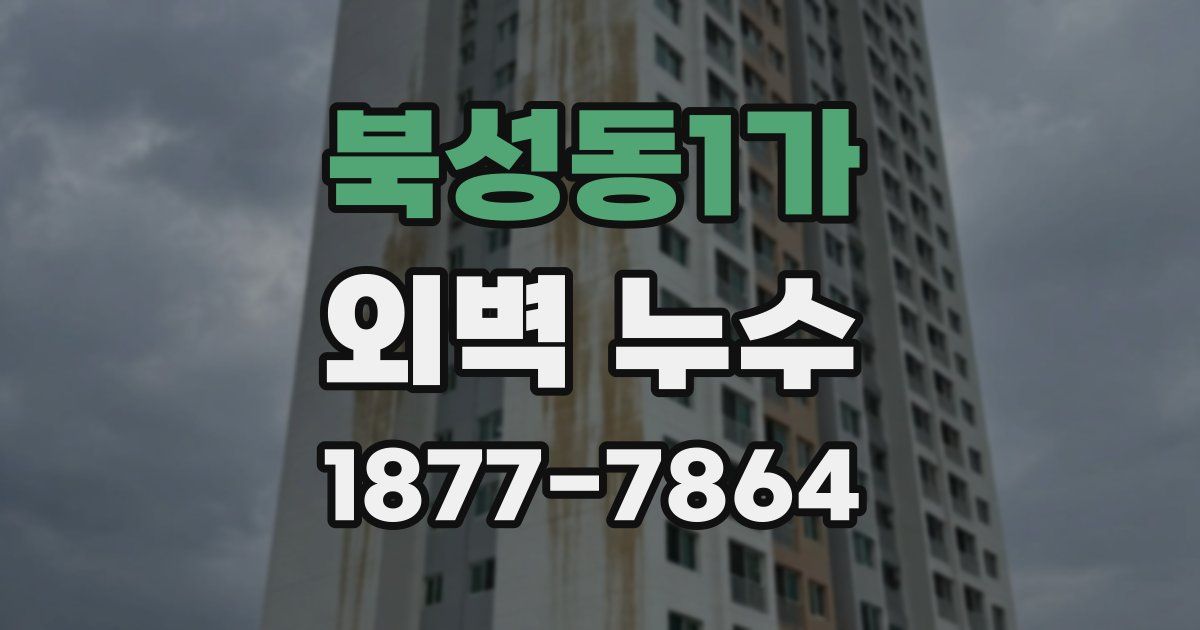 북성동1가 외벽 누수