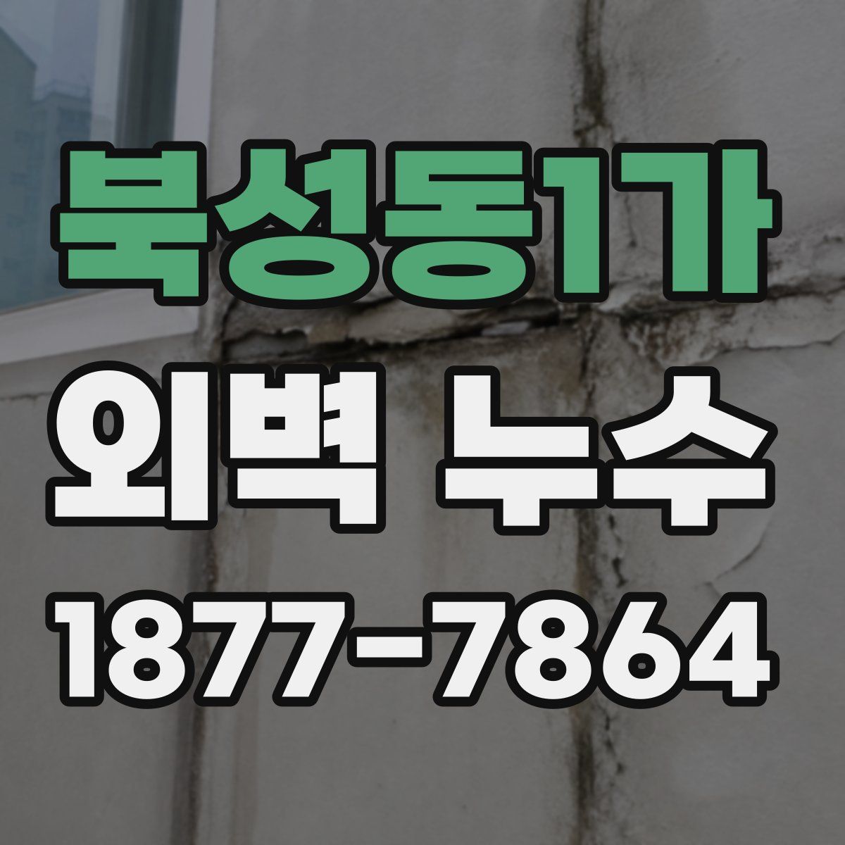 북성동1가 외벽 누수
