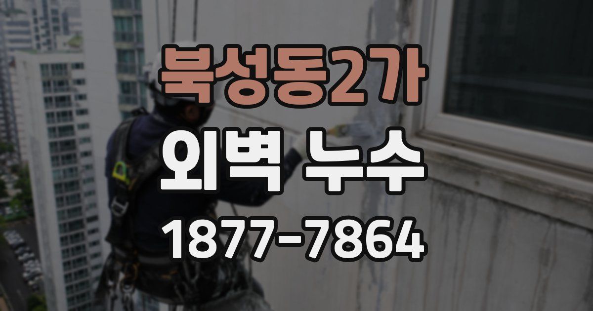 북성동2가 외벽 누수