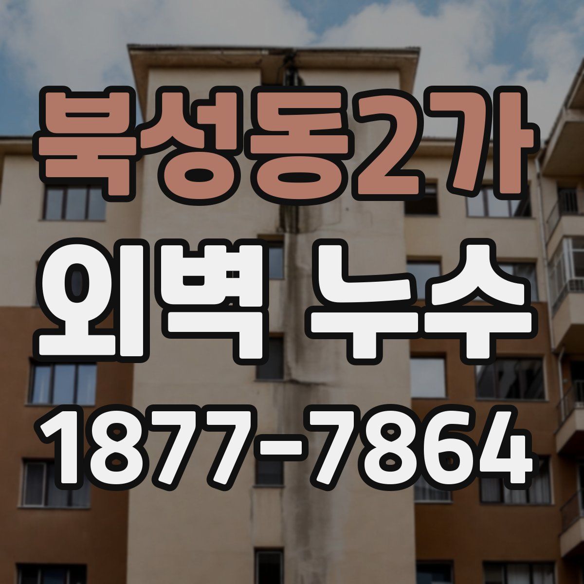 북성동2가 외벽 누수