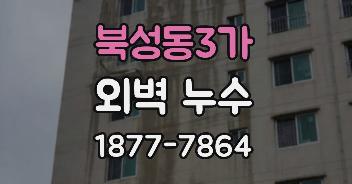 북성동3가 외벽 누수
