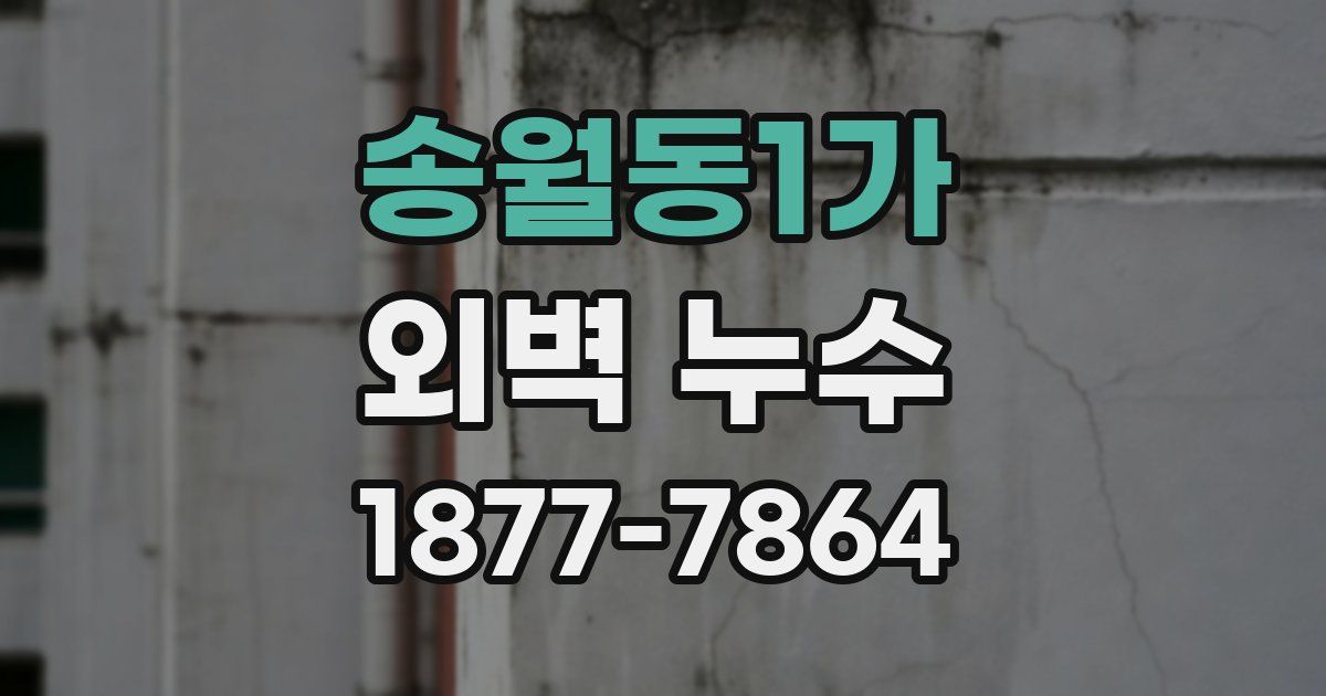 송월동1가 외벽 누수