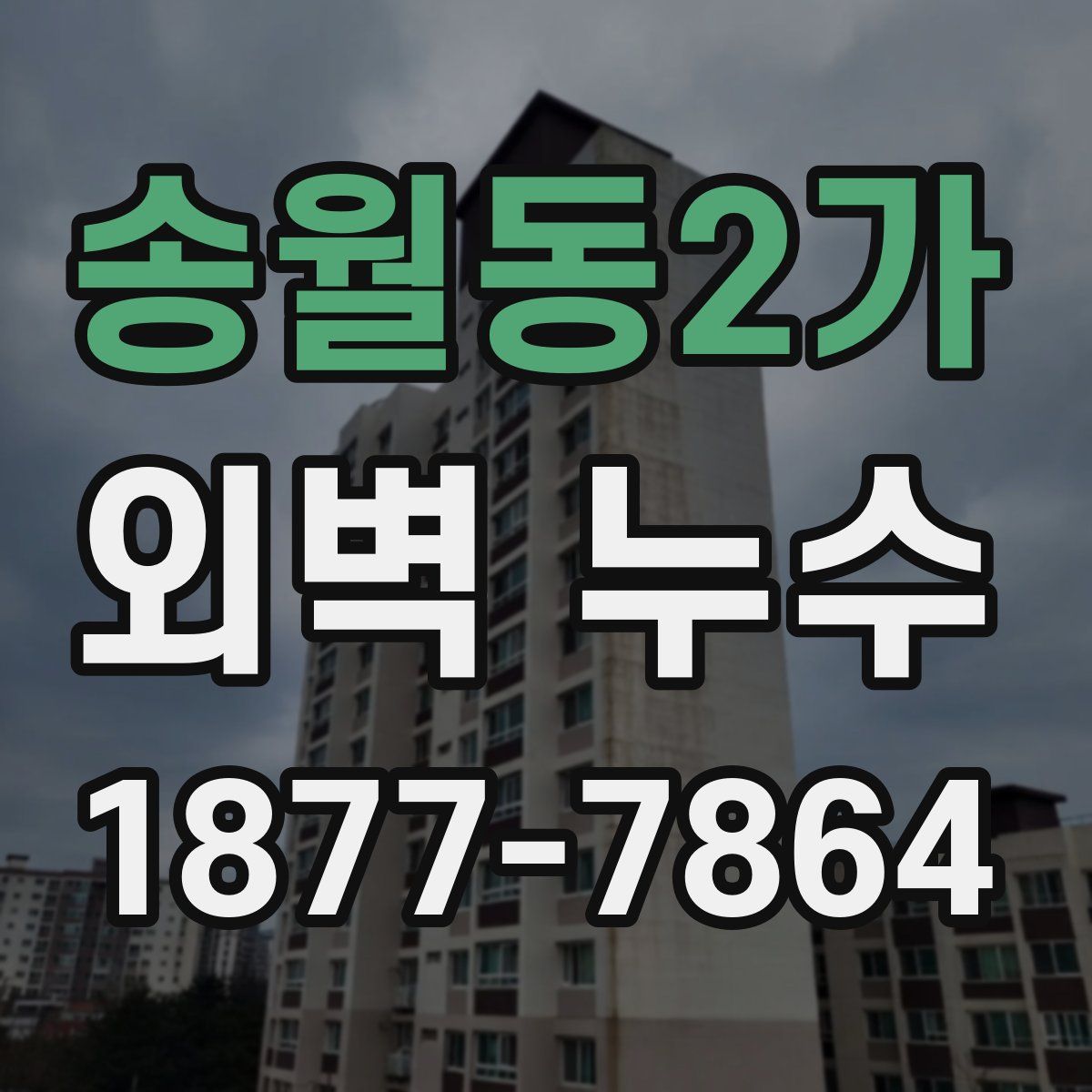 송월동2가 외벽 누수