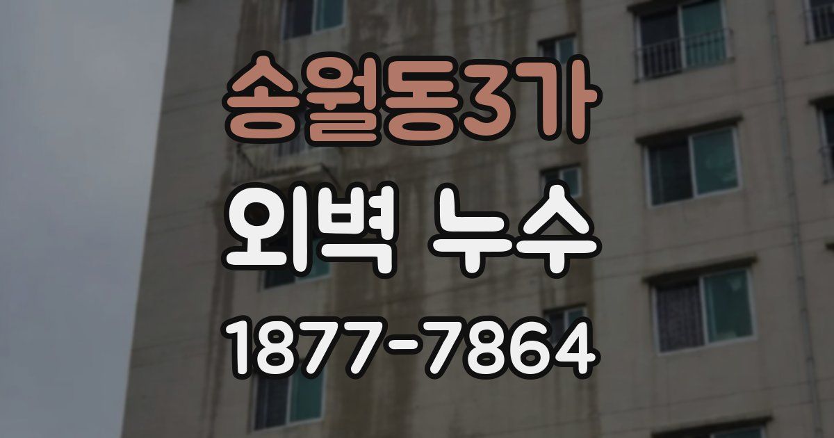 송월동3가 외벽 누수