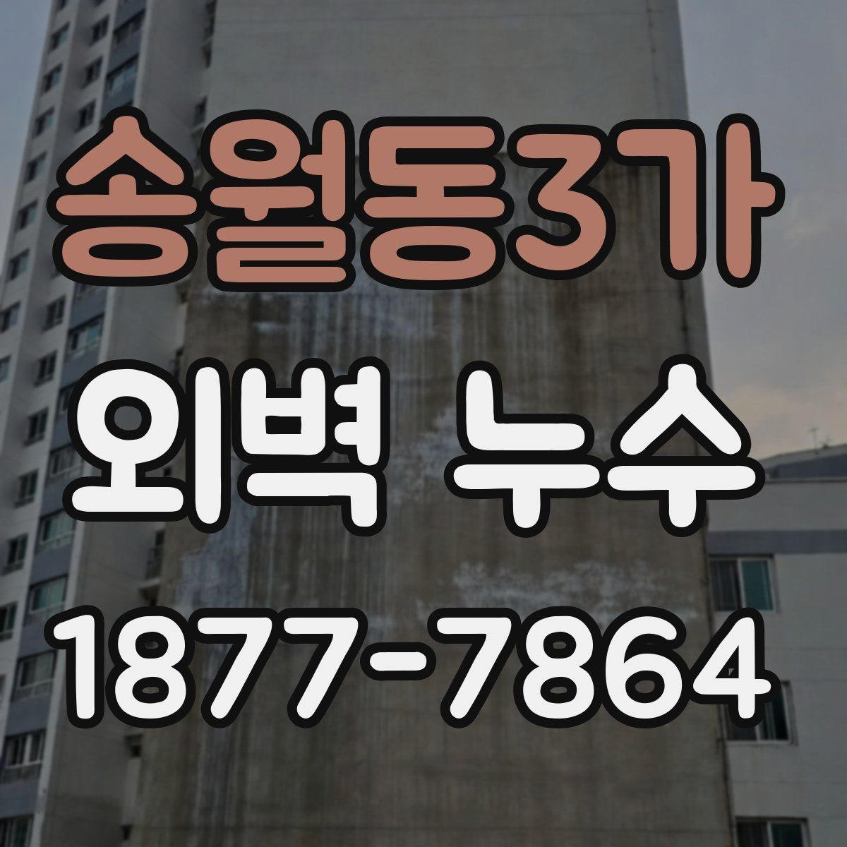 송월동3가 외벽 누수