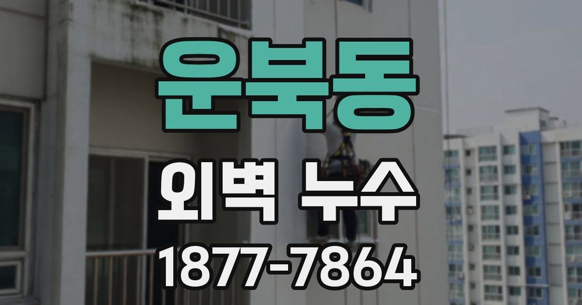 운북동 외벽 누수