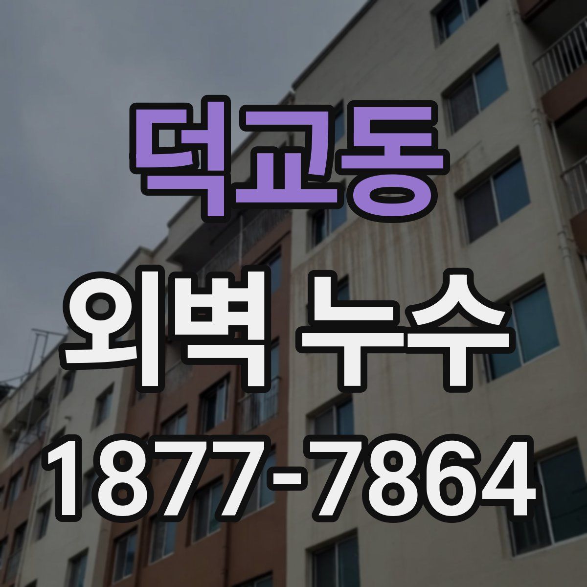 덕교동 외벽 누수