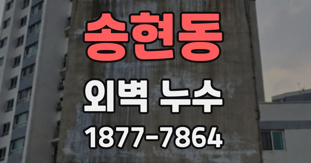 송현동 외벽 누수