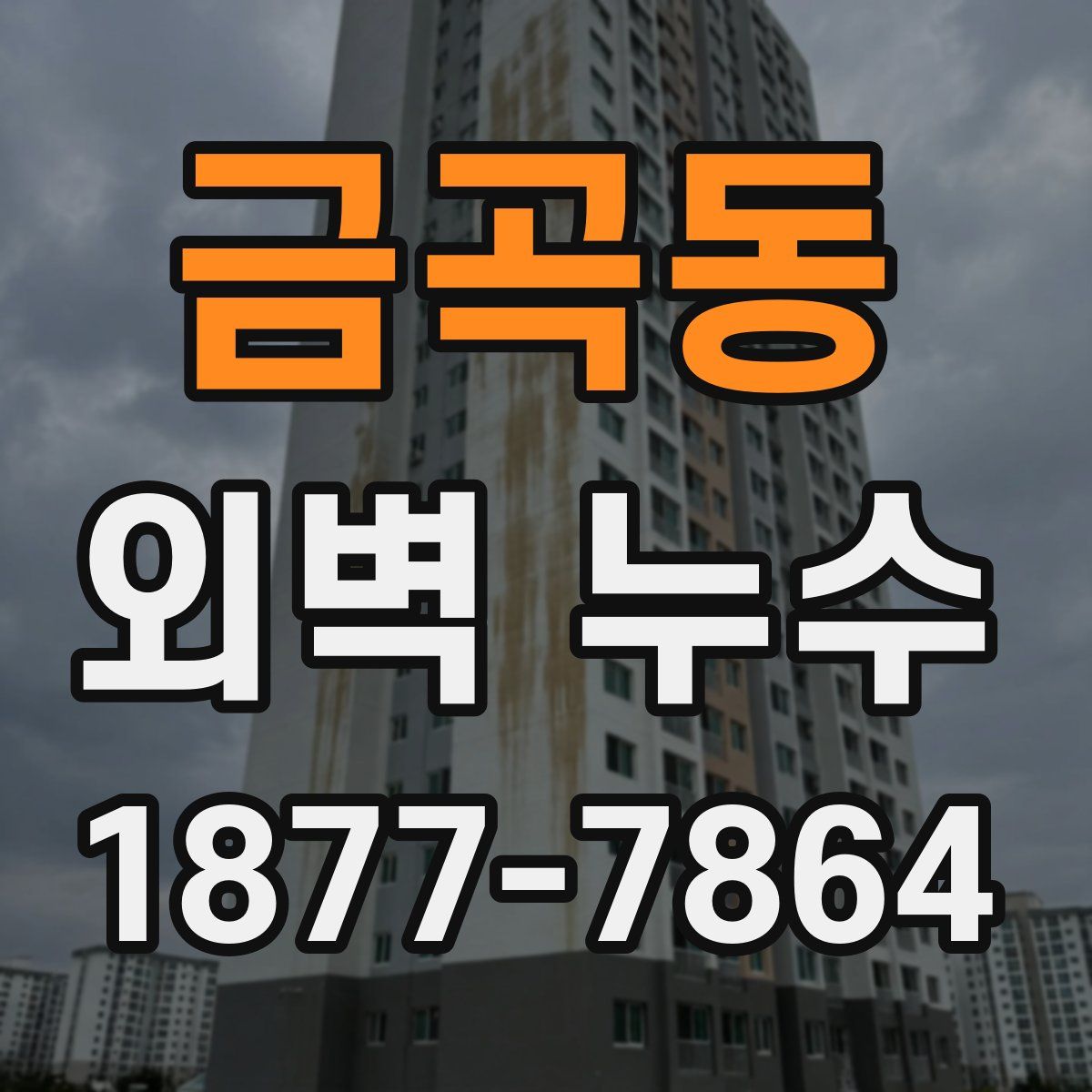 금곡동 외벽 누수