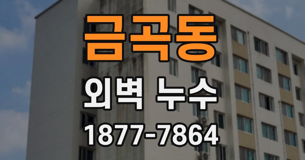 금곡동 외벽 누수