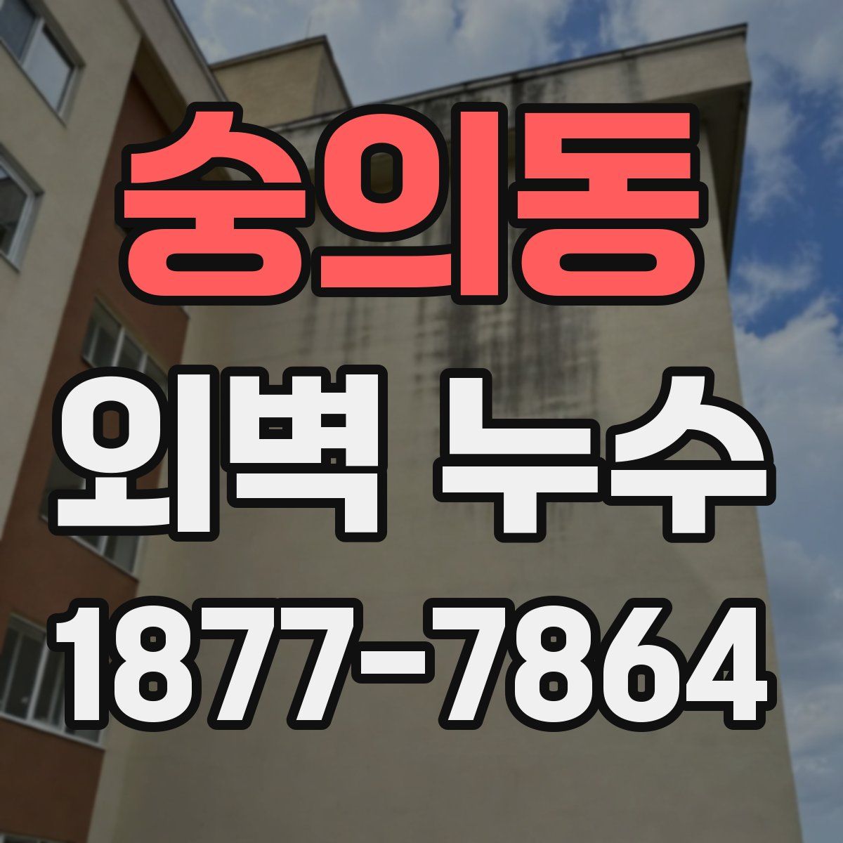 숭의동 외벽 누수