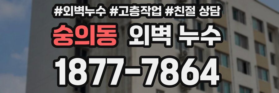 숭의동 외벽 누수