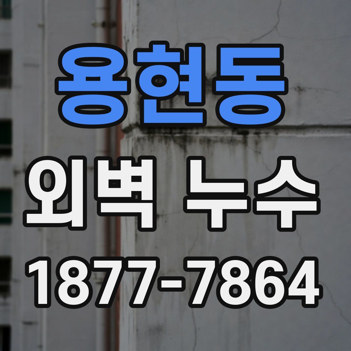 용현동 외벽 누수