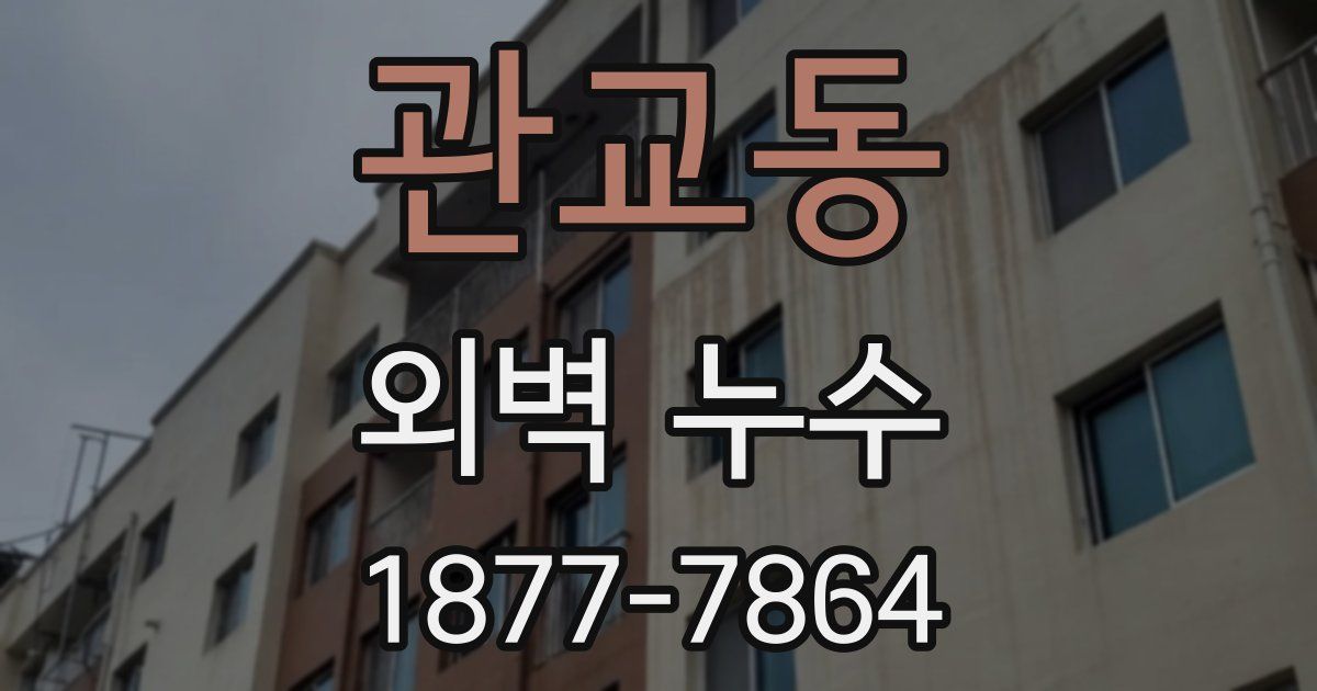 관교동 외벽 누수