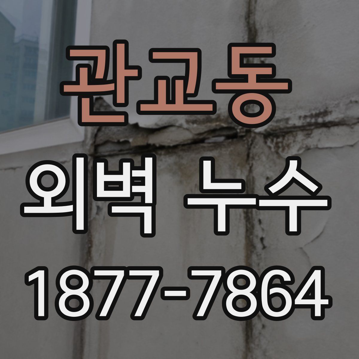 관교동 외벽 누수