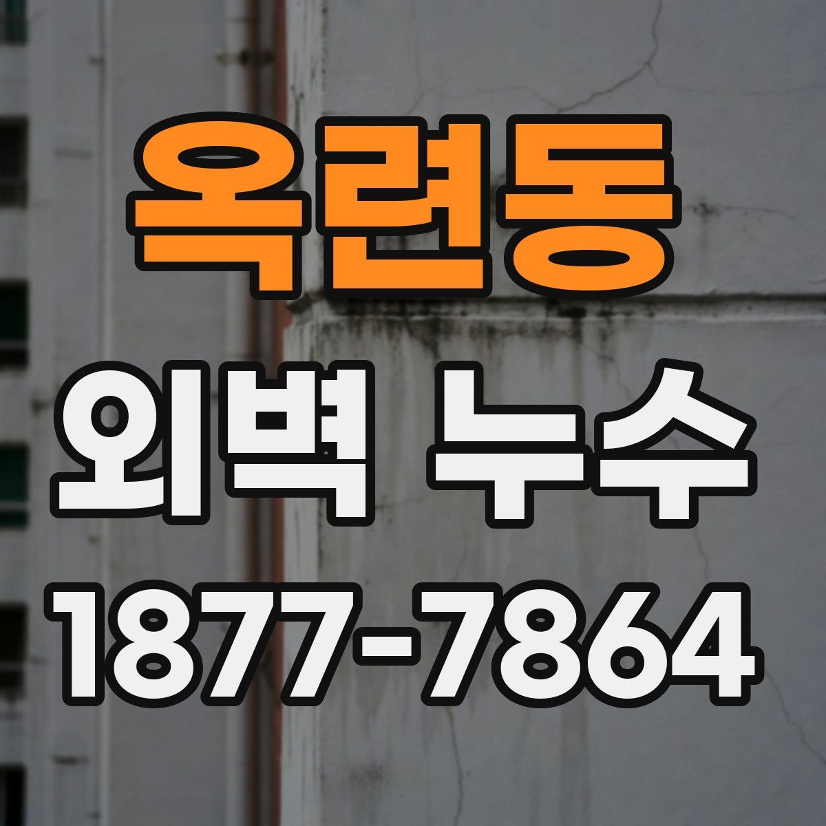 옥련동 외벽 누수