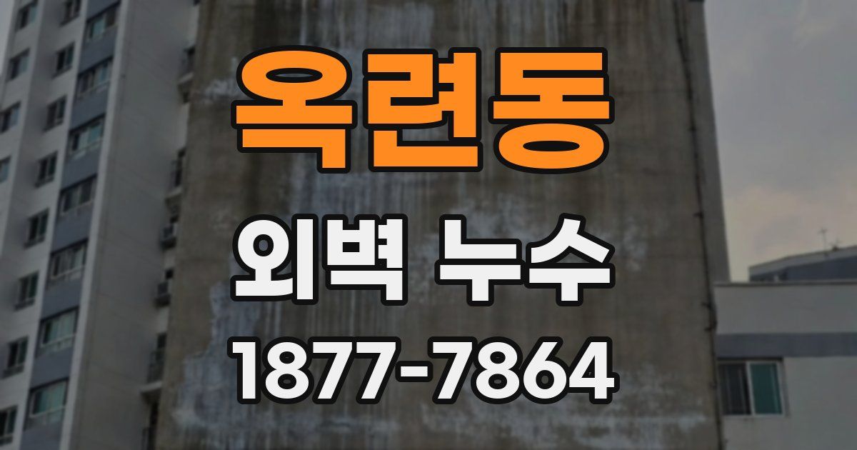 옥련동 외벽 누수