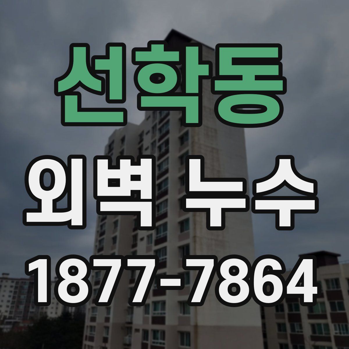 선학동 외벽 누수