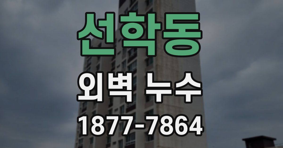 선학동 외벽 누수