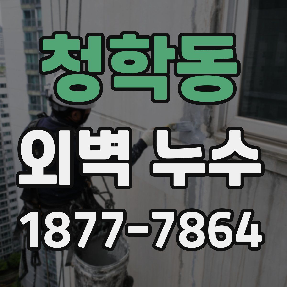 청학동 외벽 누수