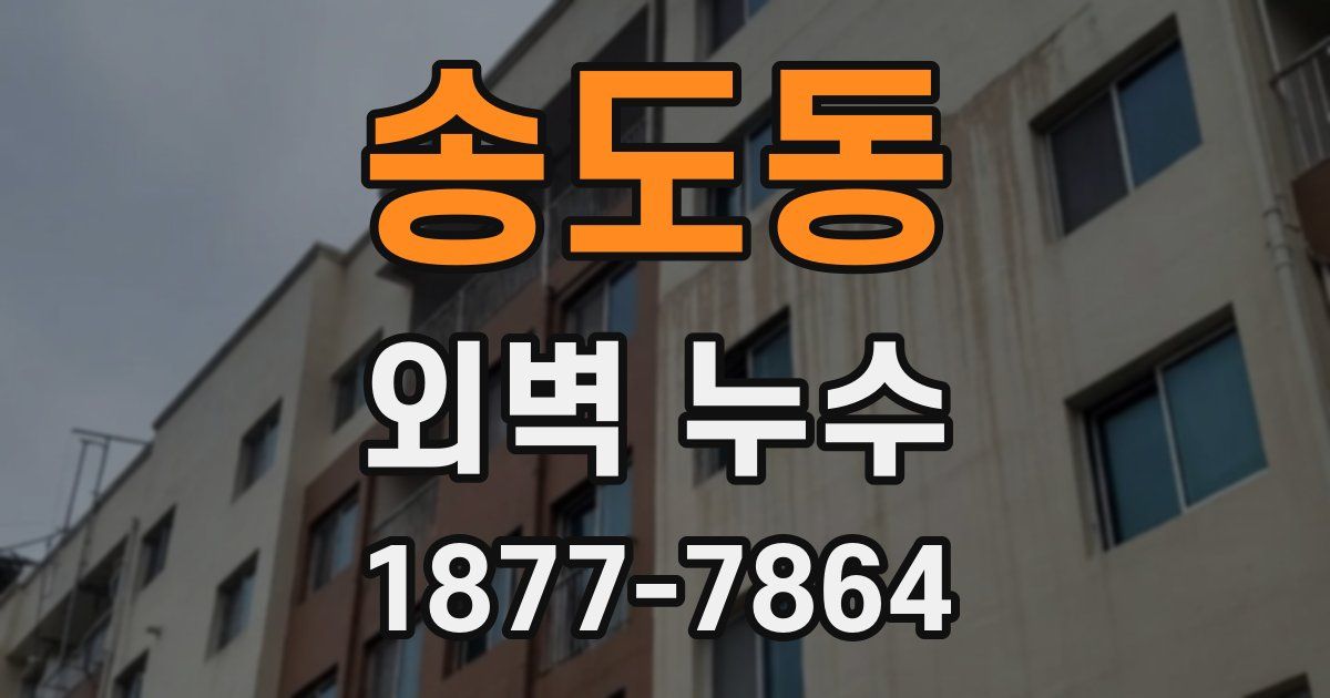 송도동 외벽 누수