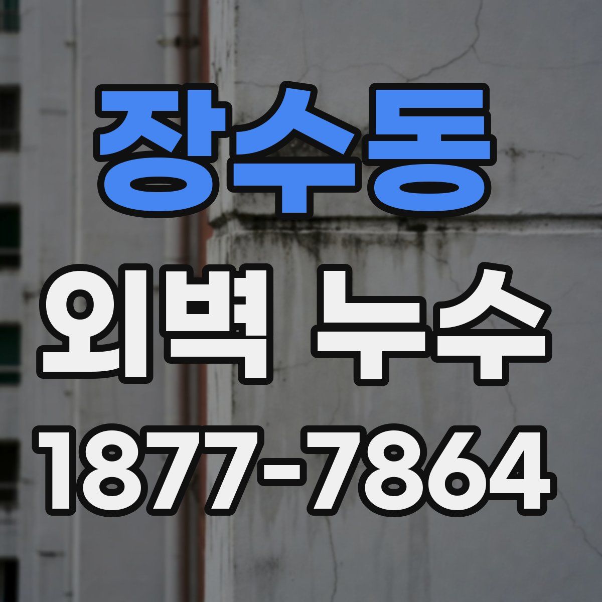 장수동 외벽 누수