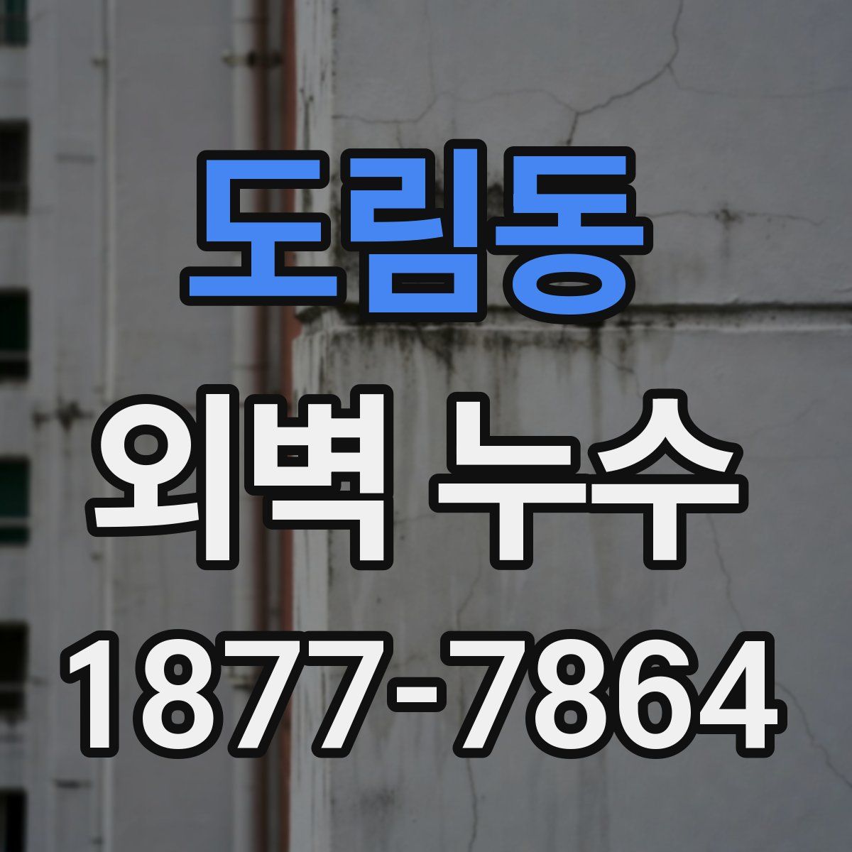 도림동 외벽 누수