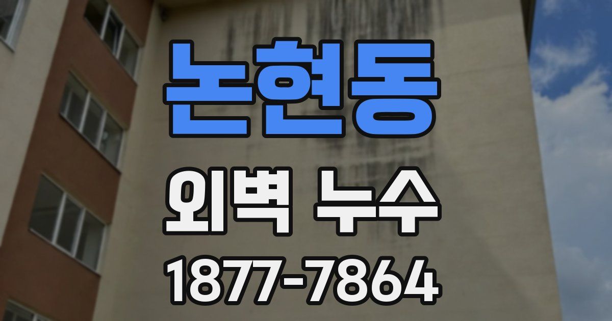 논현동 외벽 누수