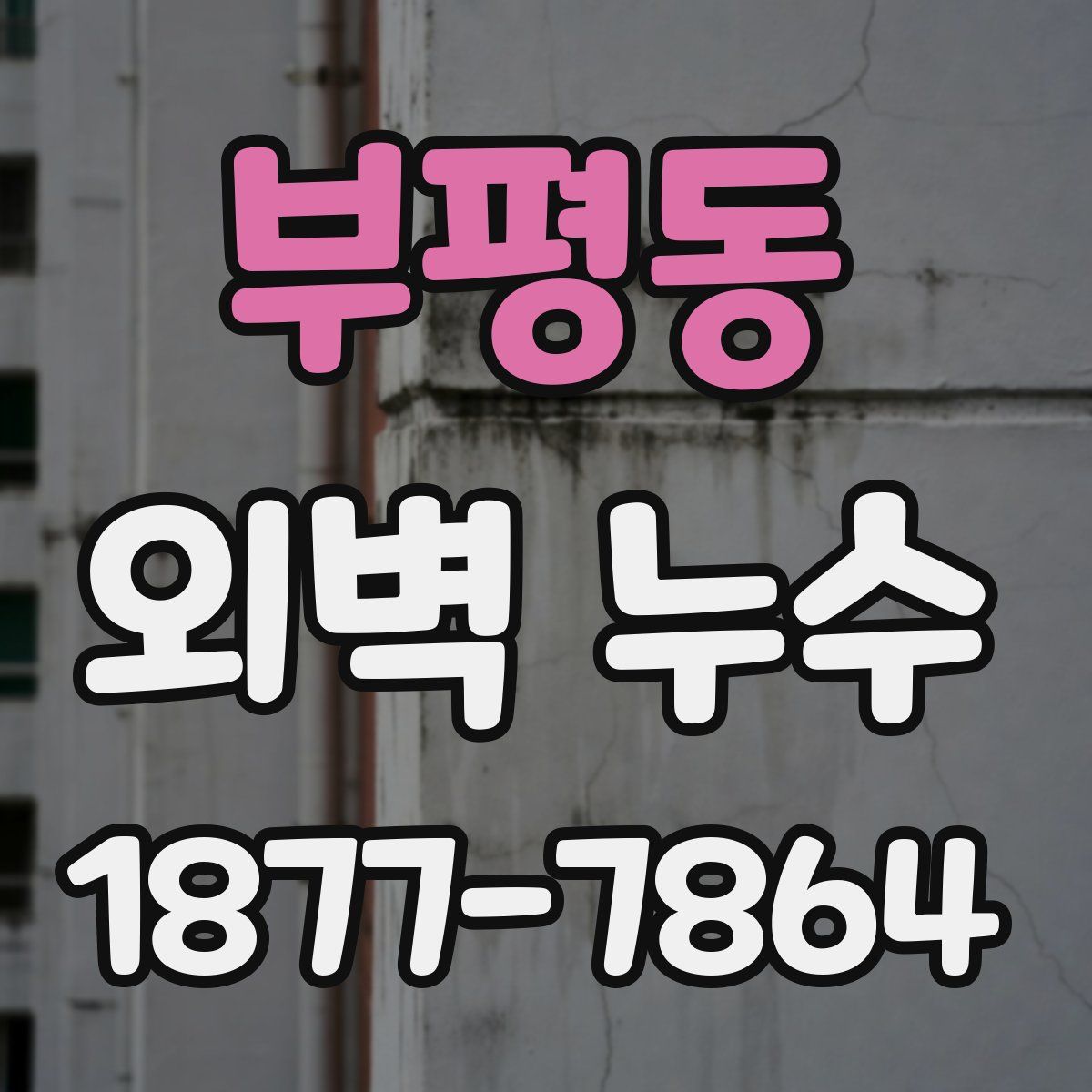 부평동 외벽 누수