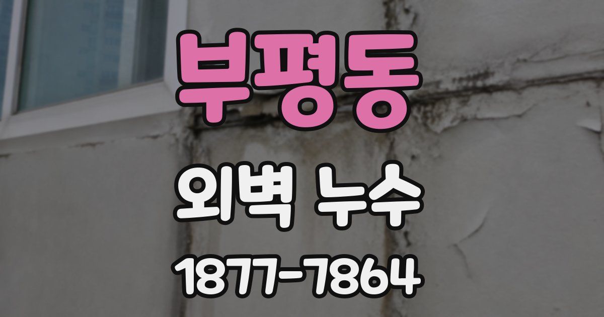 부평동 외벽 누수