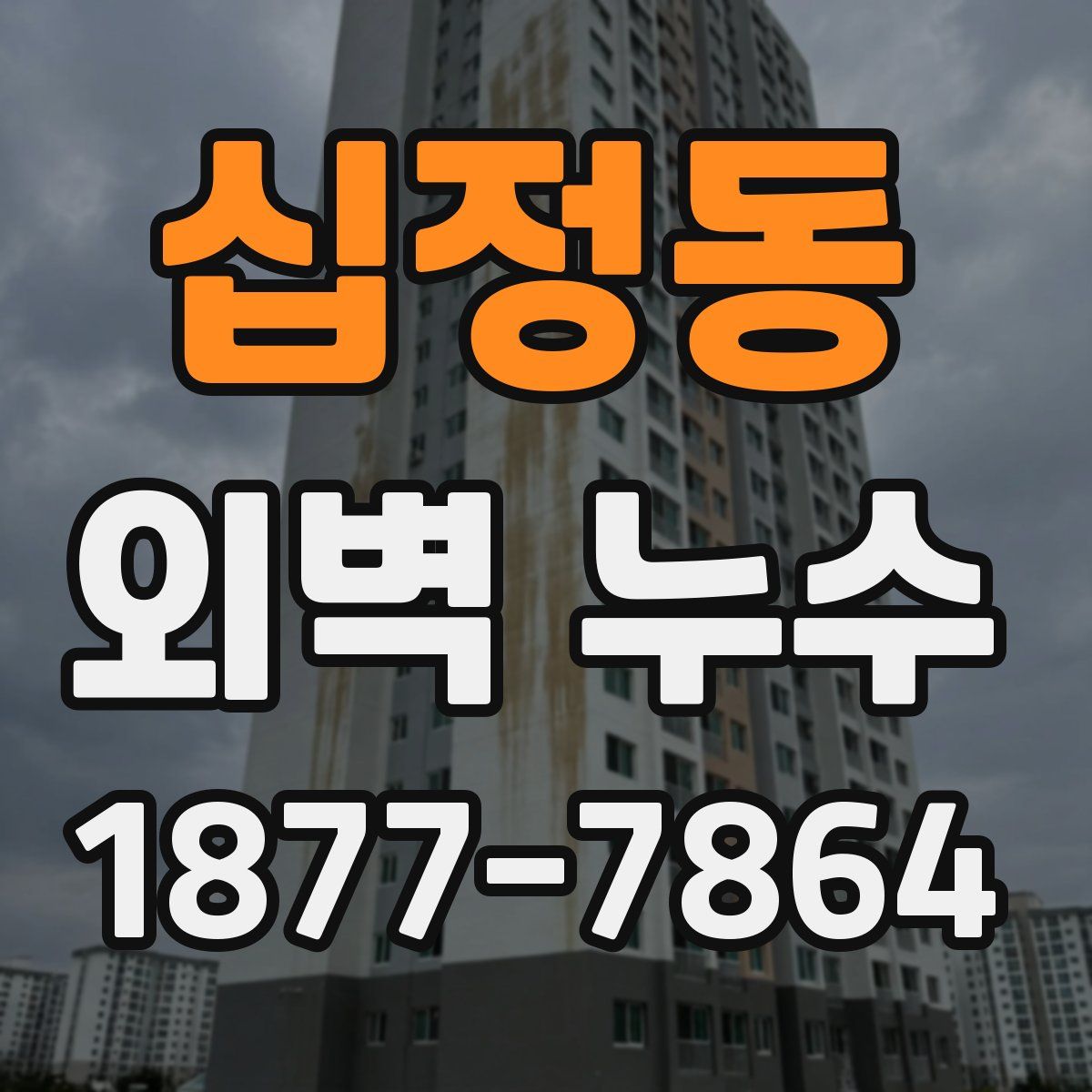 십정동 외벽 누수