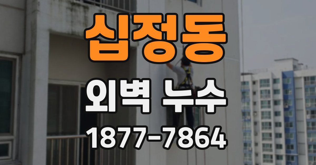 십정동 외벽 누수