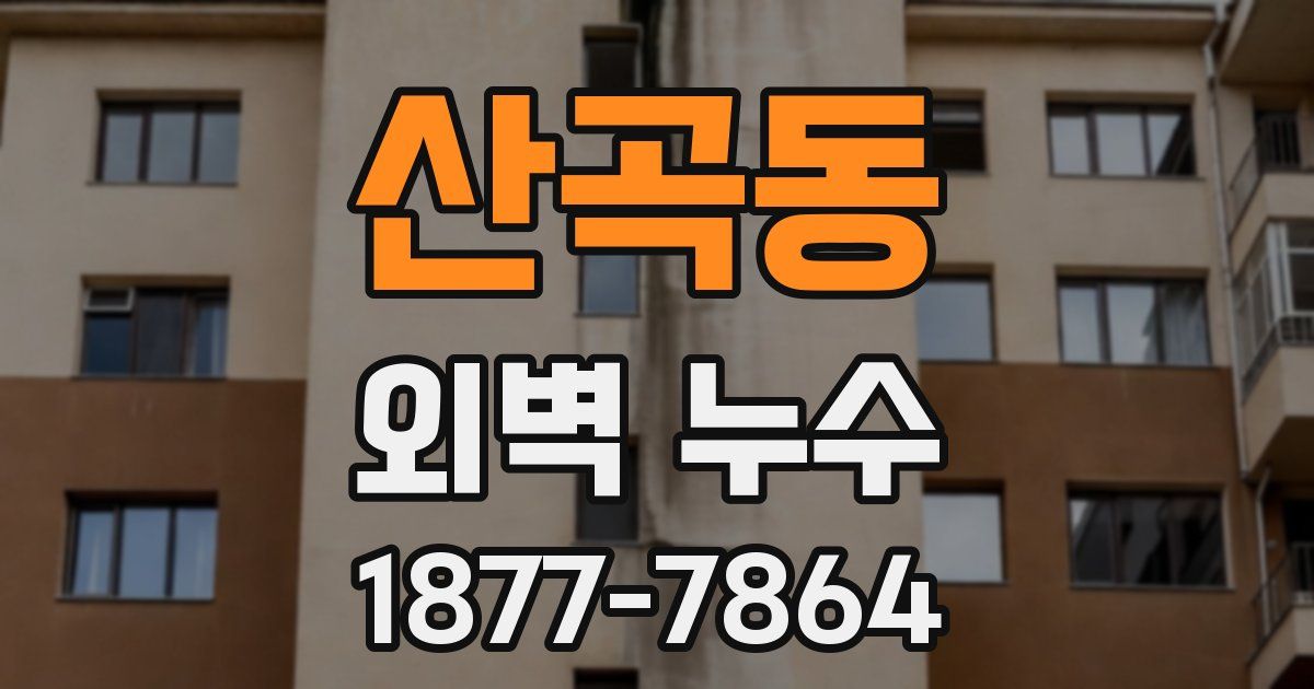 산곡동 외벽 누수
