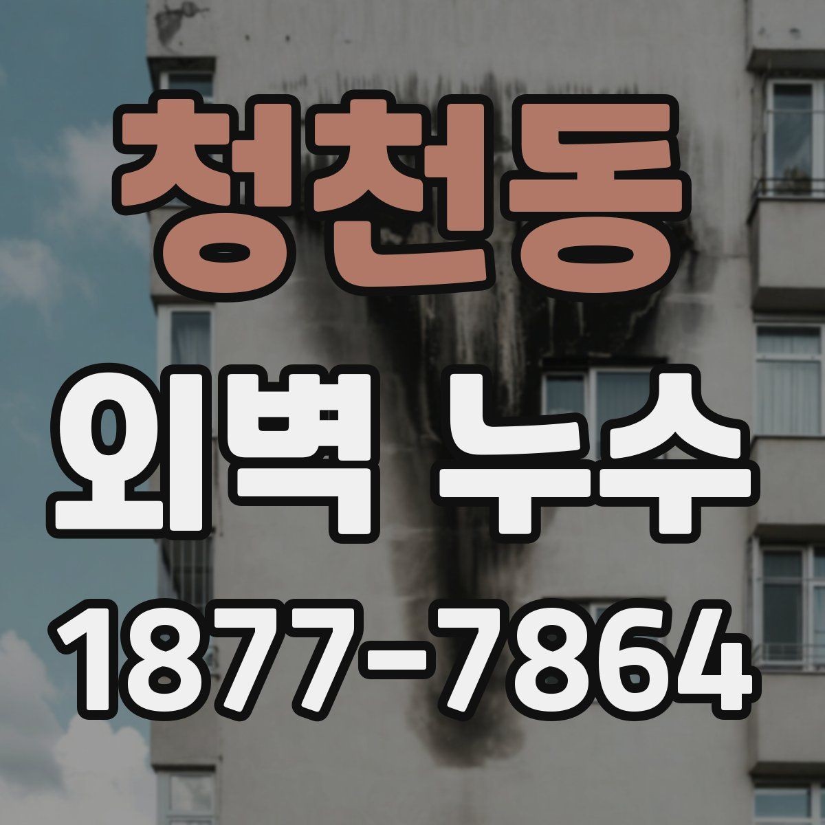 청천동 외벽 누수 공사 계획 세울 때 체크할 부분