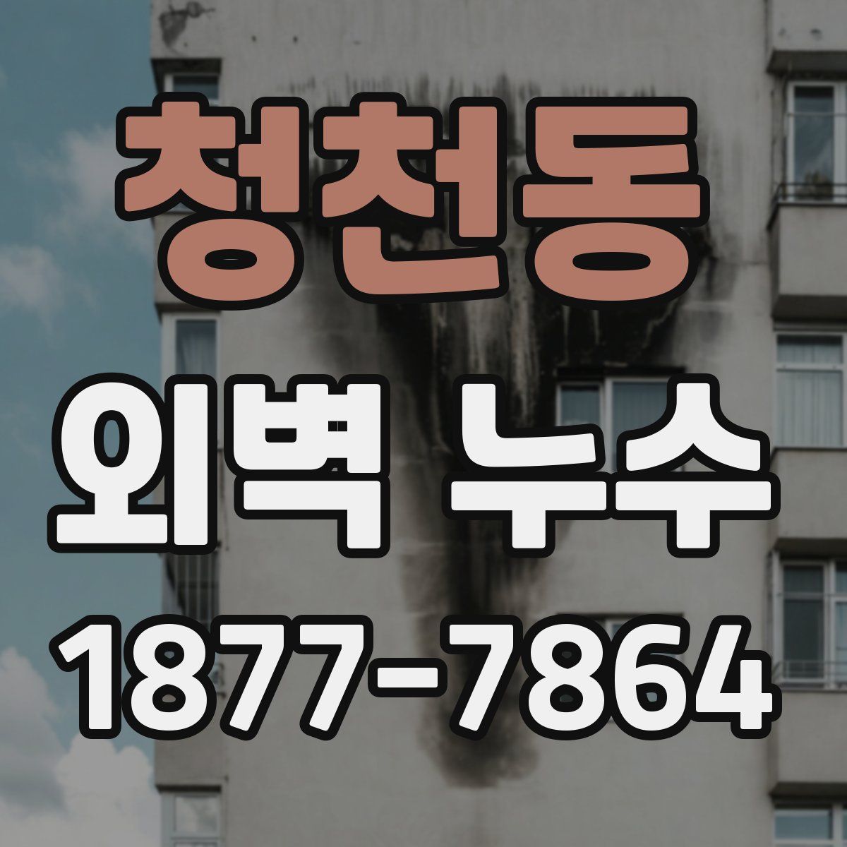 청천동 외벽 누수