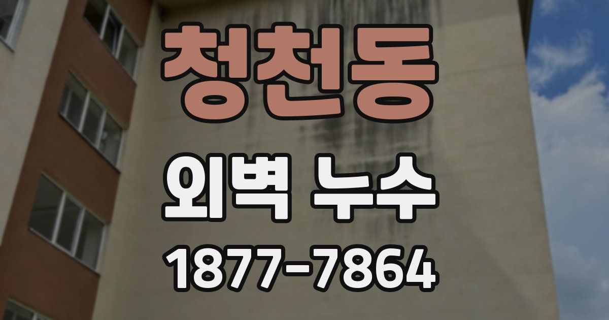 청천동 외벽 누수