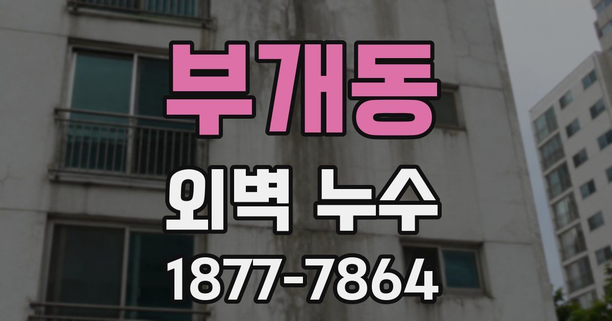부개동 외벽 누수