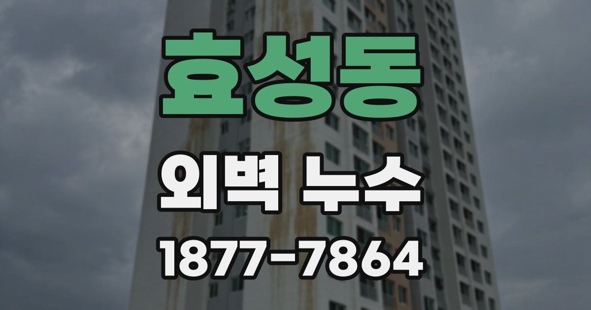 효성동 외벽 누수