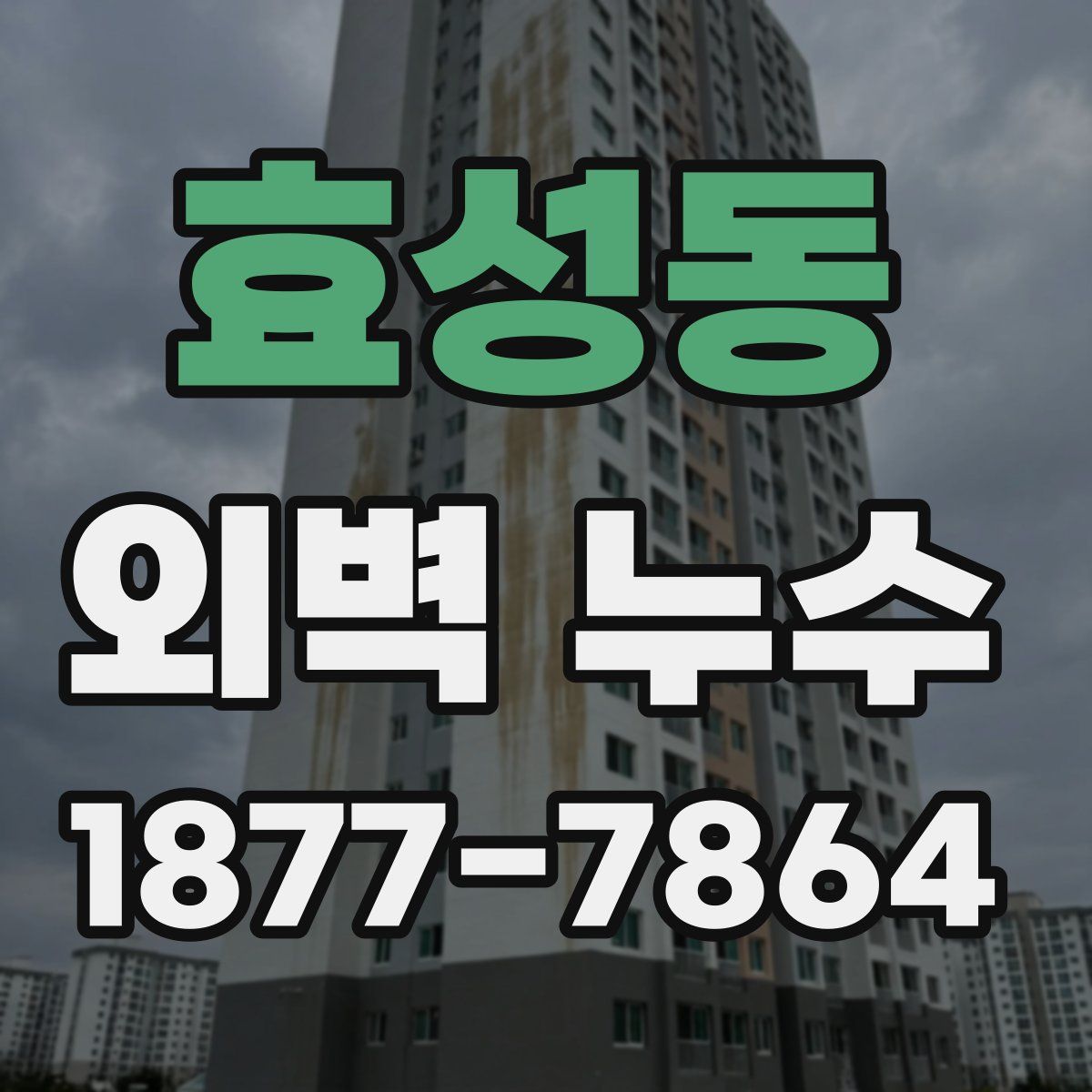 효성동 외벽 누수