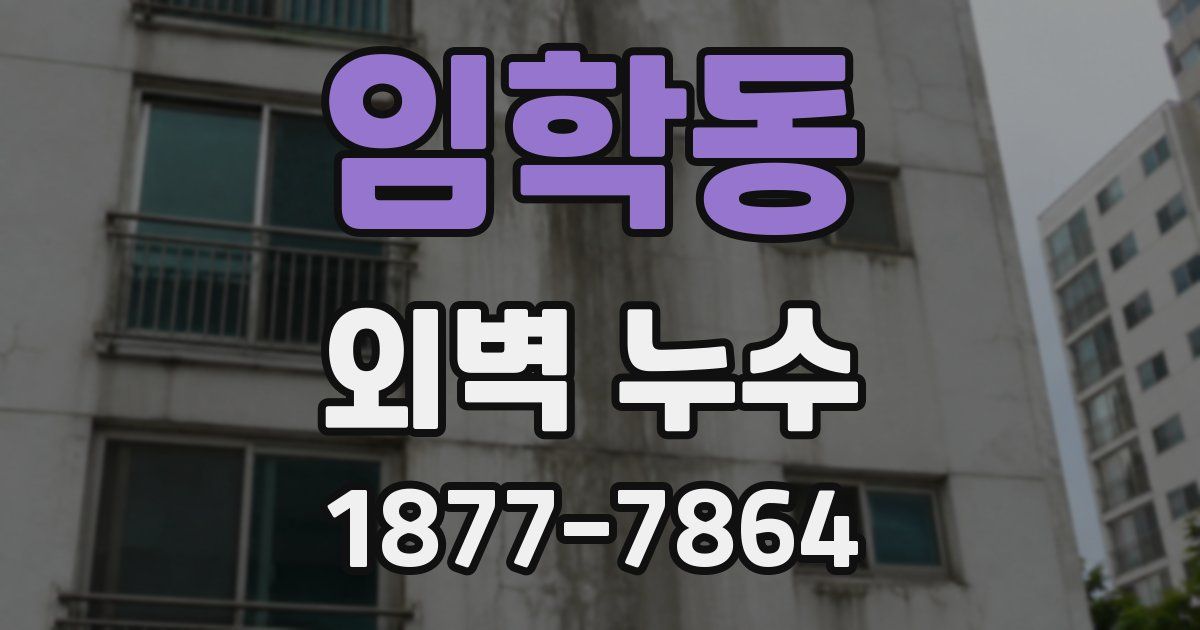 임학동 외벽 누수